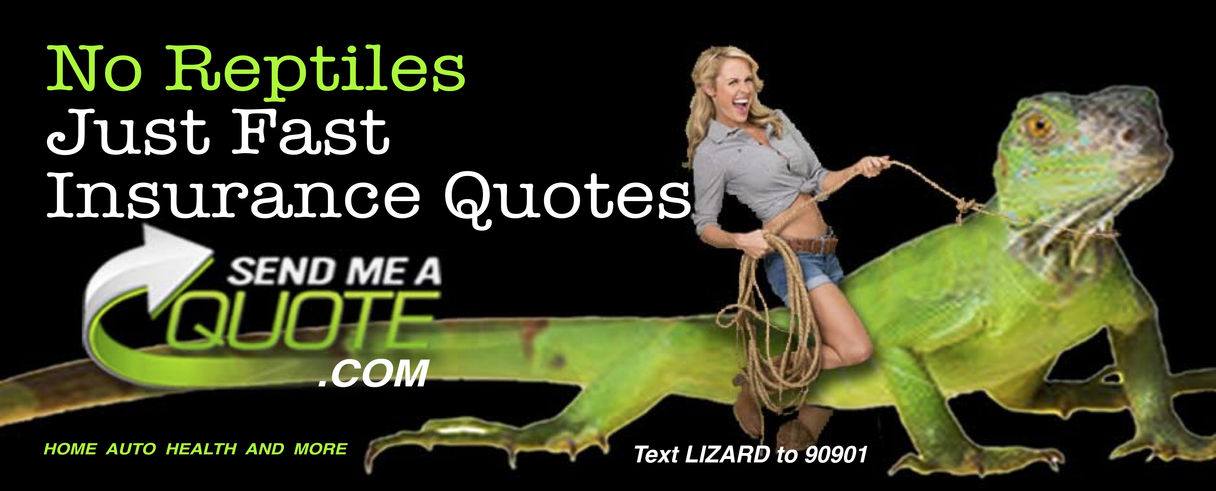 Multi-line Billboard Lizard-image